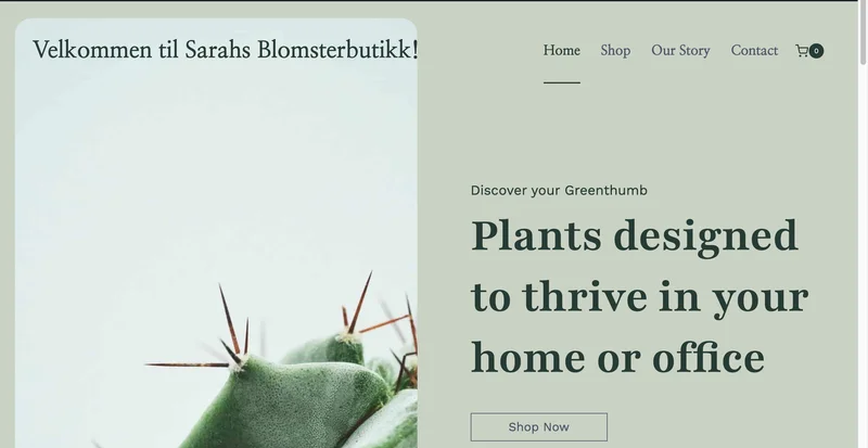 undefined prosjekt preview